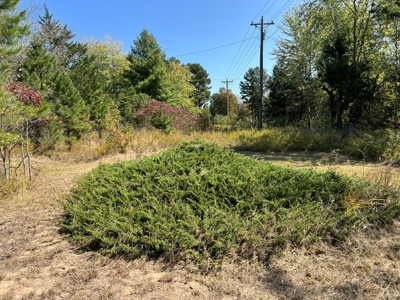 Cozy 2-Bedroom Mobile Home on 5.34 +/- Acres - image 22