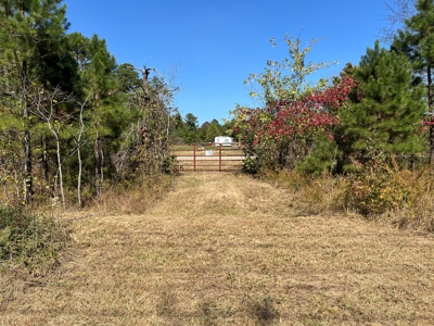 Cozy 2-Bedroom Mobile Home on 5.34 +/- Acres - image 23