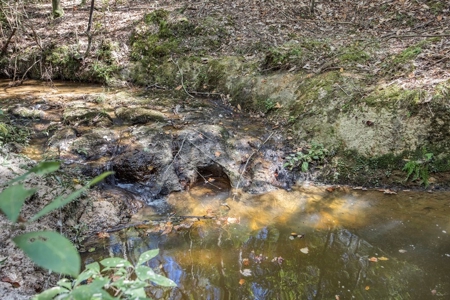Turnkey Property in Amite County Connected to Caston Creek - image 13