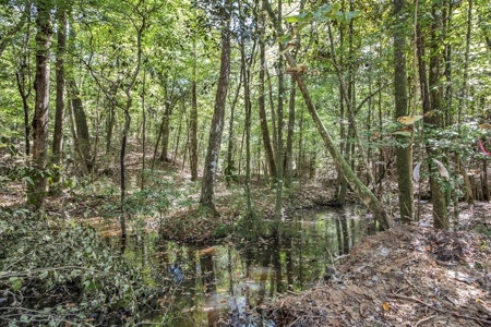 Turnkey Property in Amite County Connected to Caston Creek - image 19