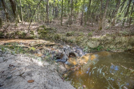 Turnkey Property in Amite County Connected to Caston Creek - image 10