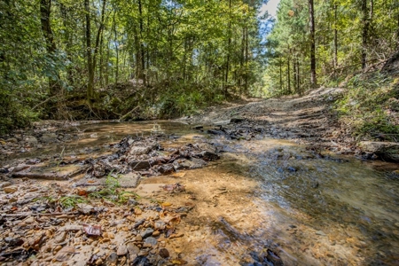 Turnkey Property in Amite County Connected to Caston Creek - image 2