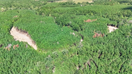 Turnkey Property in Amite County Connected to Caston Creek - image 26