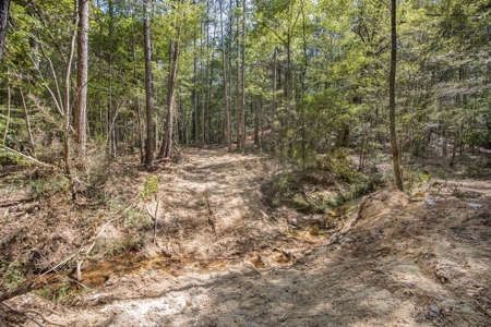Turnkey Property in Amite County Connected to Caston Creek - image 11