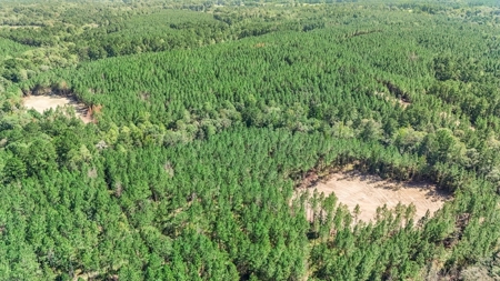 Turnkey Property in Amite County Connected to Caston Creek - image 30