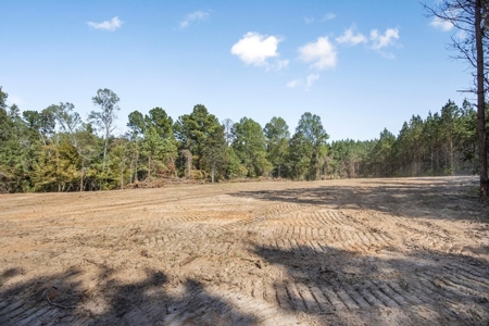 Turnkey Property in Amite County Connected to Caston Creek - image 17
