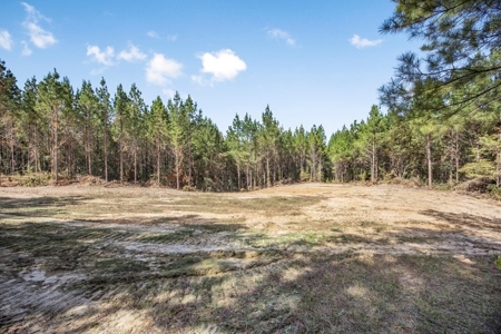 Turnkey Property in Amite County Connected to Caston Creek - image 20