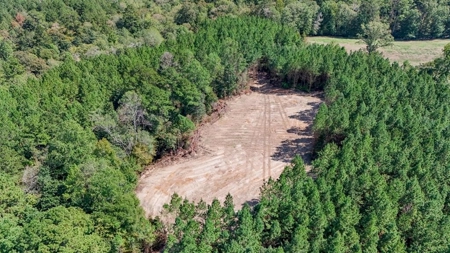 Turnkey Property in Amite County Connected to Caston Creek - image 1