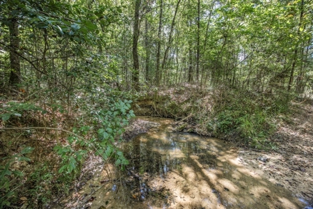 Turnkey Property in Amite County Connected to Caston Creek - image 9