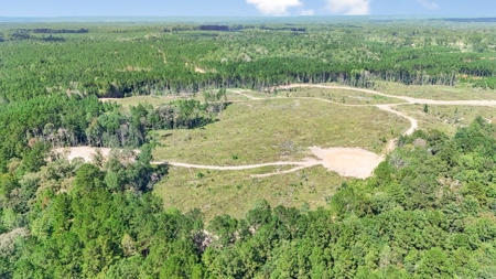 Turnkey Property in Amite County Connected to Caston Creek - image 28