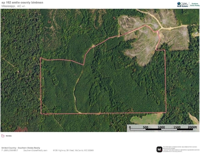 Turnkey Property in Amite County Connected to Caston Creek - image 33