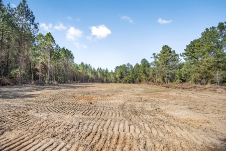 Turnkey Property in Amite County Connected to Caston Creek - image 16