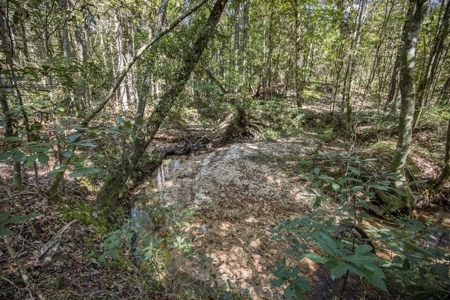 Turnkey Property in Amite County Connected to Caston Creek - image 3