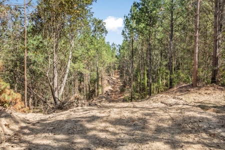 Turnkey Property in Amite County Connected to Caston Creek - image 8