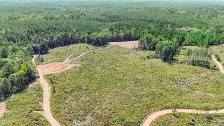 Turnkey Property in Amite County Connected to Caston Creek - image 29