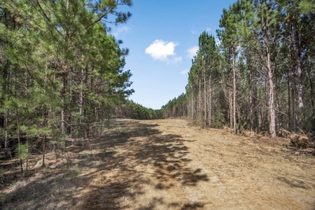 Turnkey Property in Amite County Connected to Caston Creek - image 21