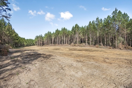 Turnkey Property in Amite County Connected to Caston Creek - image 22