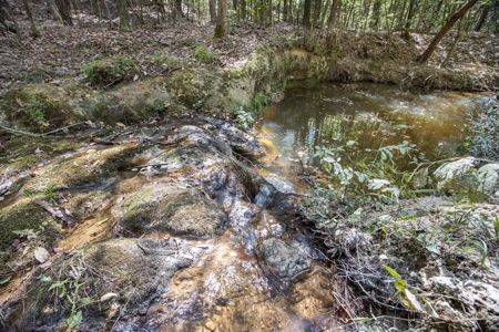 Turnkey Property in Amite County Connected to Caston Creek - image 12