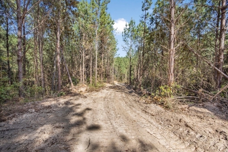 Turnkey Property in Amite County Connected to Caston Creek - image 24