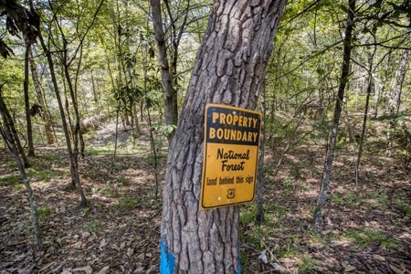 Turnkey Property in Amite County Connected to Caston Creek - image 7