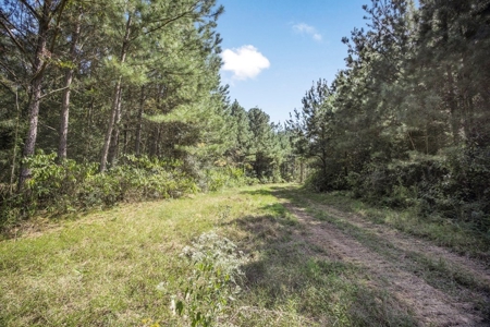Turnkey Property in Amite County Connected to Caston Creek - image 25