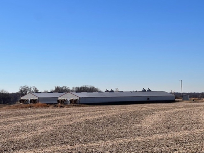 18 Acres & Hog Confinement Operation - image 4