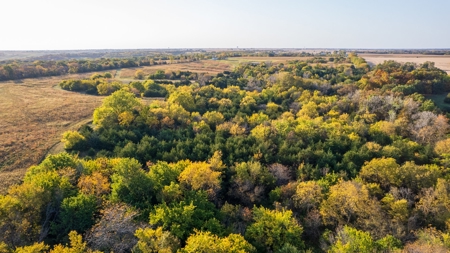 Diverse Hunting and Recreational Tract with Income - image 10