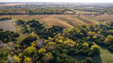 Diverse Hunting and Recreational Tract with Income - image 21