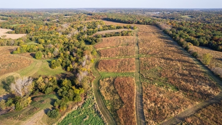 Diverse Hunting and Recreational Tract with Income - image 23