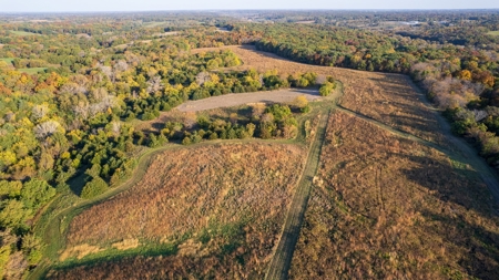 Diverse Hunting and Recreational Tract with Income - image 3
