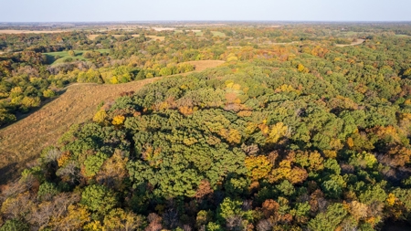 Diverse Hunting and Recreational Tract with Income - image 6