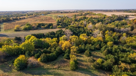 Diverse Hunting and Recreational Tract with Income - image 13