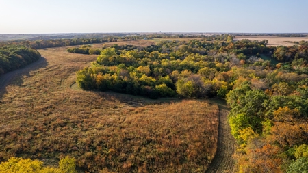 Diverse Hunting and Recreational Tract with Income - image 11