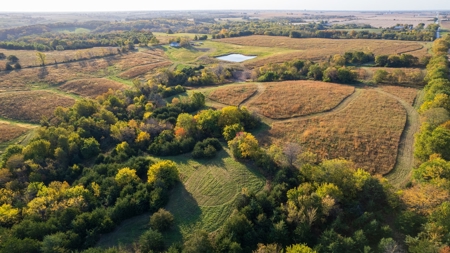 Diverse Hunting and Recreational Tract with Income - image 20