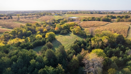 Diverse Hunting and Recreational Tract with Income - image 19