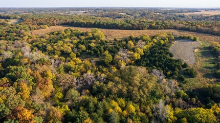 Diverse Hunting and Recreational Tract with Income - image 22