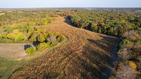Diverse Hunting and Recreational Tract with Income - image 5