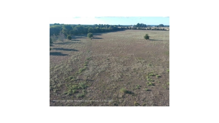 Land for Sale in Soper, Oklahoma - image 5