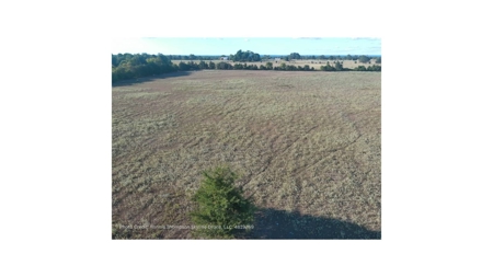 Land for Sale in Soper, Oklahoma - image 3