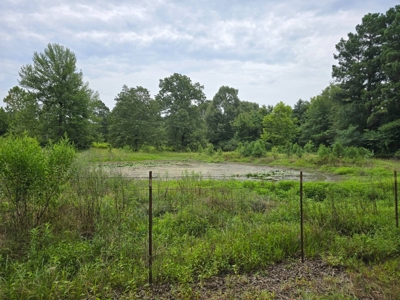 Country Home for Sale in Antlers, Oklahoma - image 21