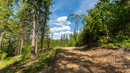 Land for Sale in Kootenai County, ID - image 19