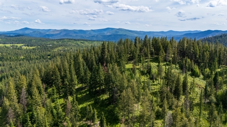 Land for Sale in Kootenai County, ID - image 16