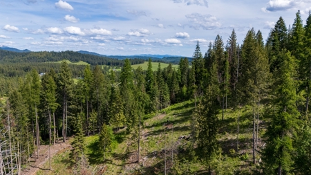 Land for Sale in Kootenai County, ID - image 15