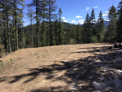 Land for Sale in Kootenai County, ID - image 1