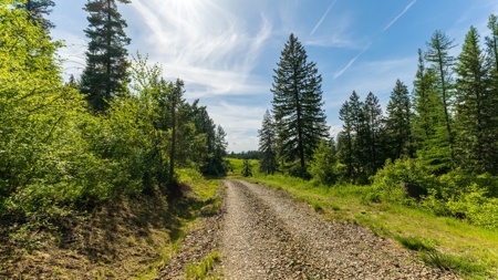 Land for Sale in Kootenai County, ID - image 22