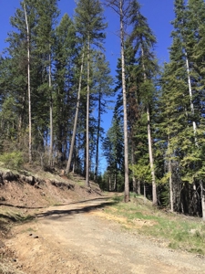 Land for Sale in Kootenai County, ID - image 2