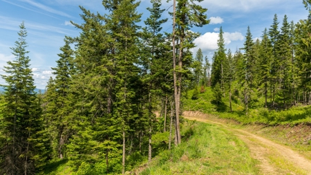 Land for Sale in Kootenai County, ID - image 18