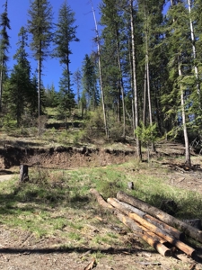 Land for Sale in Kootenai County, ID - image 6