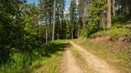 Land for Sale in Kootenai County, ID - image 20