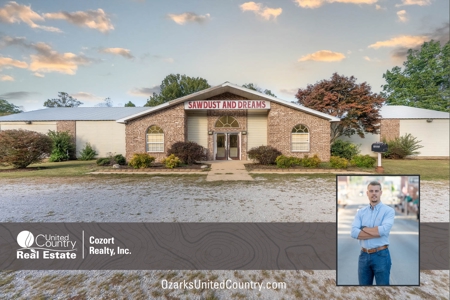 Commercial Building and Property in West Plains, Missouri - image 1